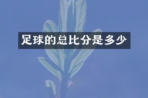 足球的总比分是多少