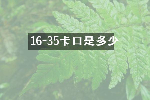 16-35卡口是多少