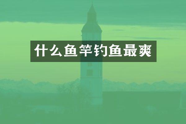 什么鱼竿钓鱼最爽