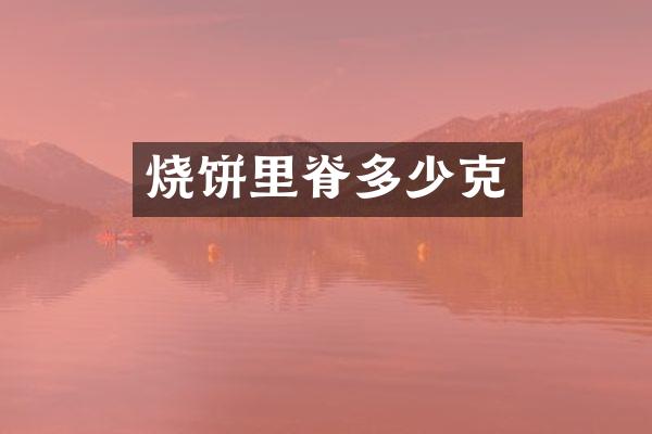 烧饼里脊多少克