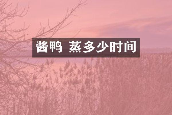 酱鸭 蒸多少时间