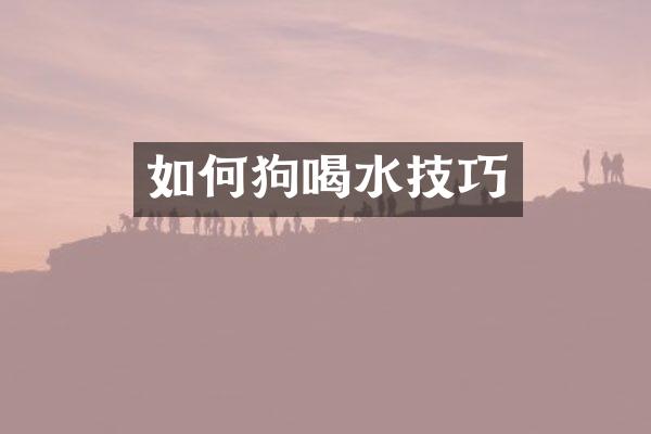 如何狗喝水技巧