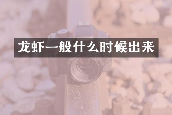 龙虾一般什么时候出来