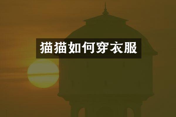 猫猫如何穿衣服