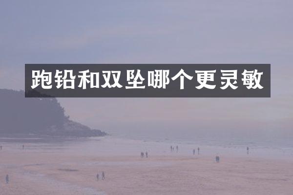 跑铅和双坠哪个更灵敏