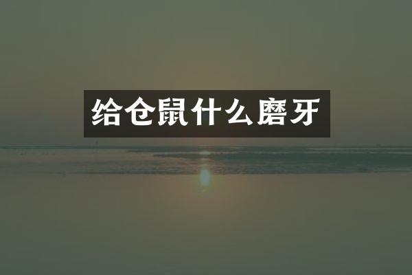 给仓鼠什么磨牙