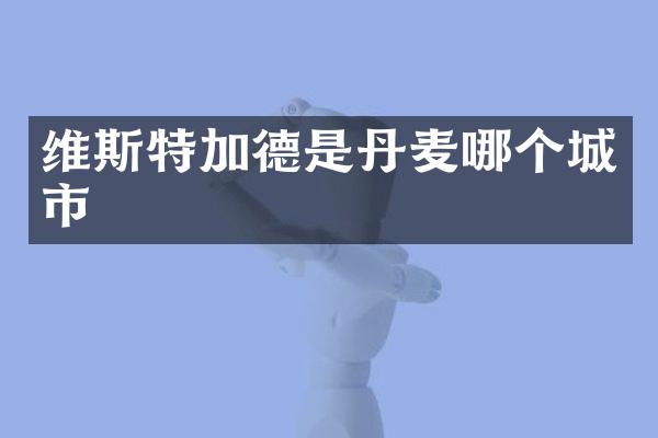 维斯特加德是丹麦哪个城市