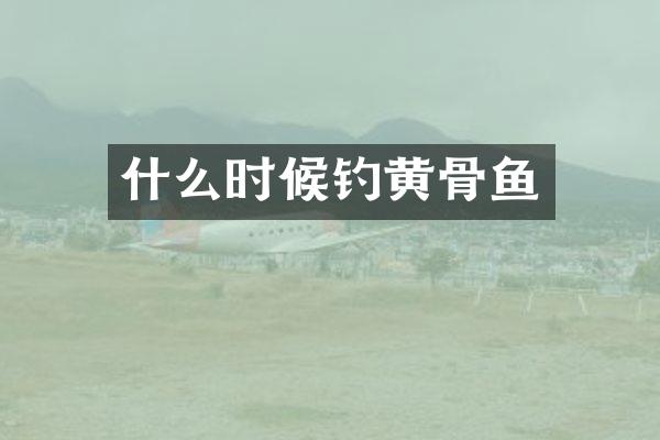 什么时候钓黄骨鱼