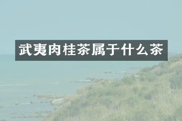 武夷肉桂茶属于什么茶