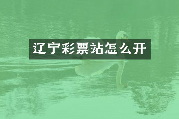 辽宁彩票站怎么开
