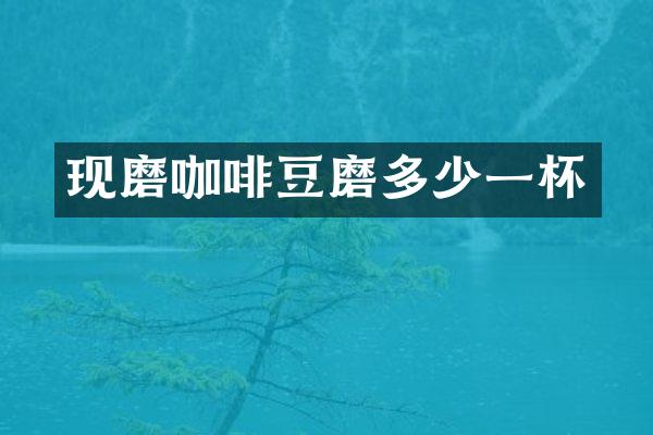 现磨咖啡豆磨多少一杯