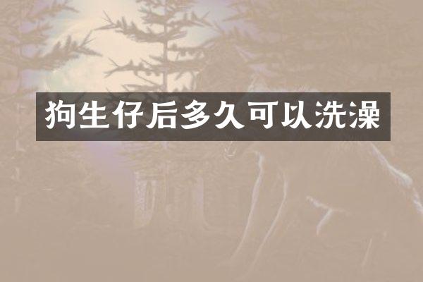 狗生仔后多久可以洗澡