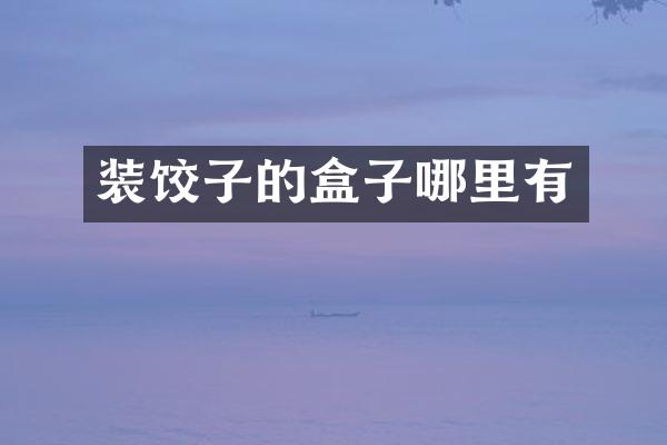 装饺子的盒子哪里有