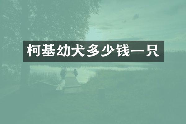 柯基幼犬多少钱一只