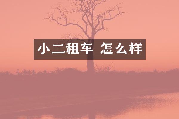 小二租车 怎么样