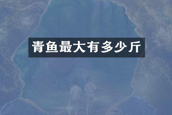 青鱼最大有多少斤