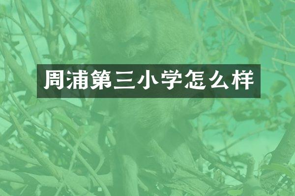 周浦第三小学怎么样