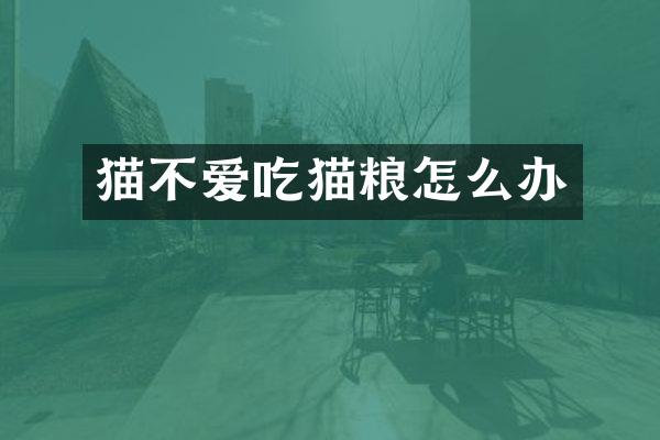 猫不爱吃猫粮怎么办