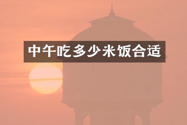 中午吃多少米饭合适