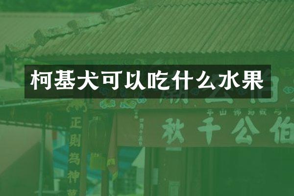 柯基犬可以吃什么水果