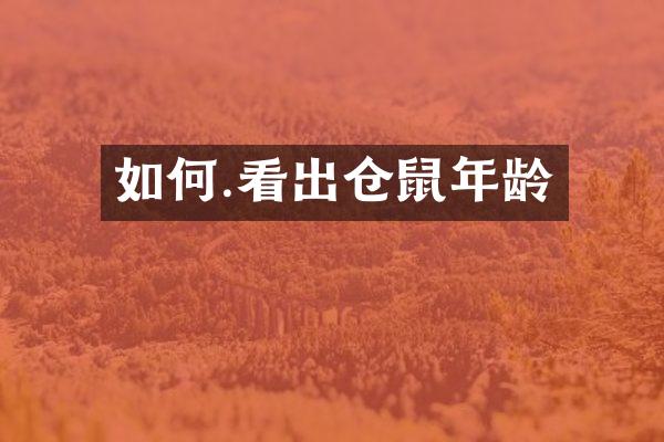 如何.看出仓鼠年龄