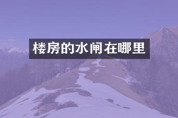 楼房的水闸在哪里