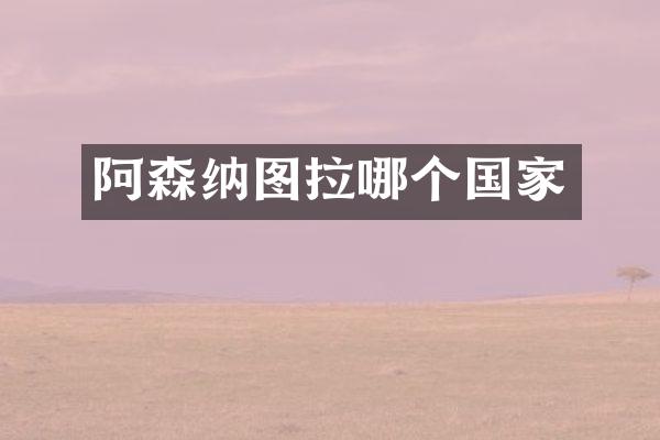 阿森纳图拉哪个国家