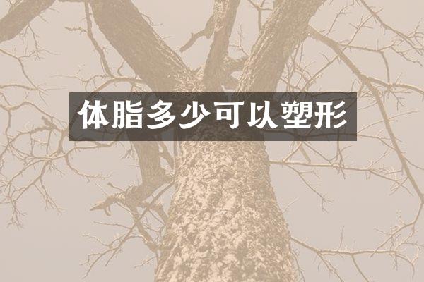 体脂多少可以塑形
