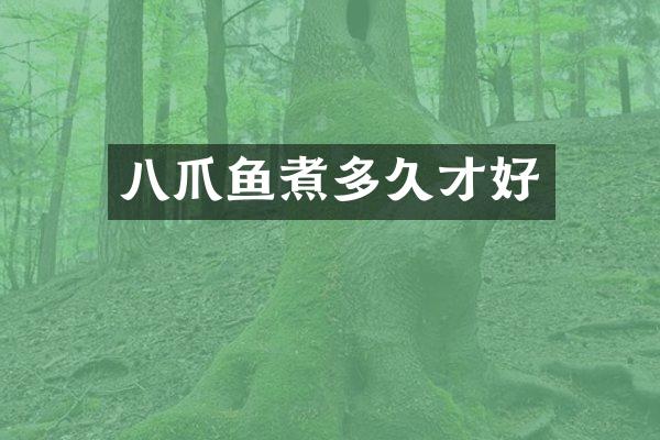 八爪鱼煮多久才好