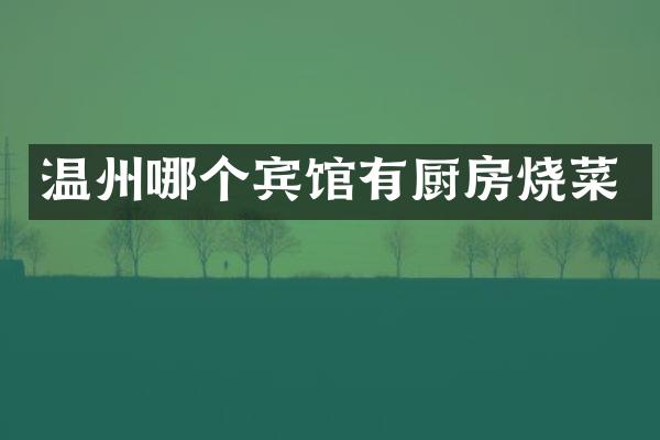 温州哪个宾馆有厨房烧菜