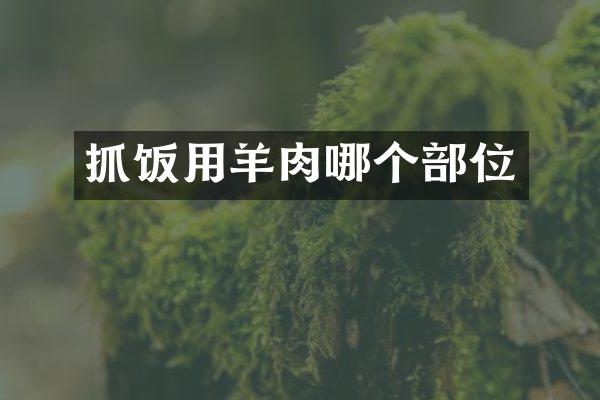 抓饭用羊肉哪个部位