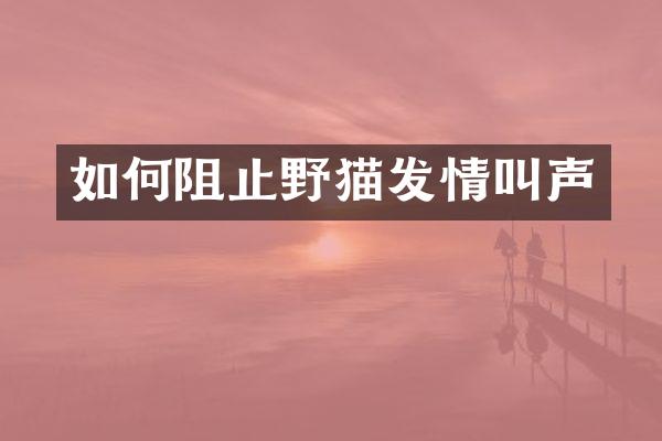 如何阻止野猫发情叫声