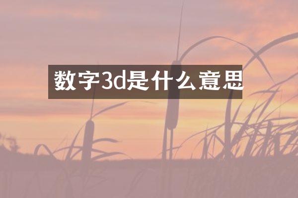 数字3d是什么意思