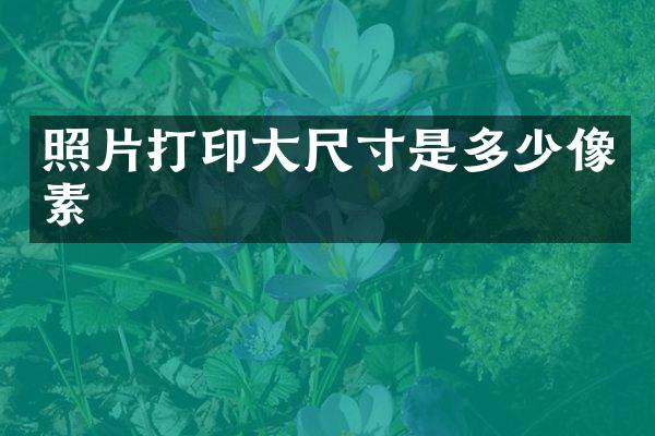 照片打印大尺寸是多少像素