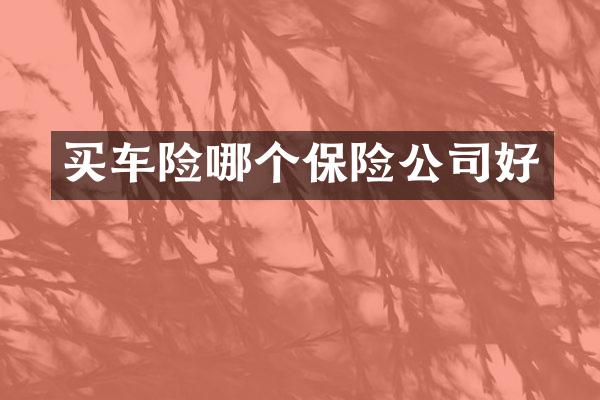买车险哪个保险公司好