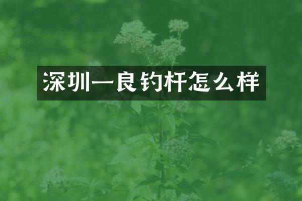 深圳一良钓杆怎么样