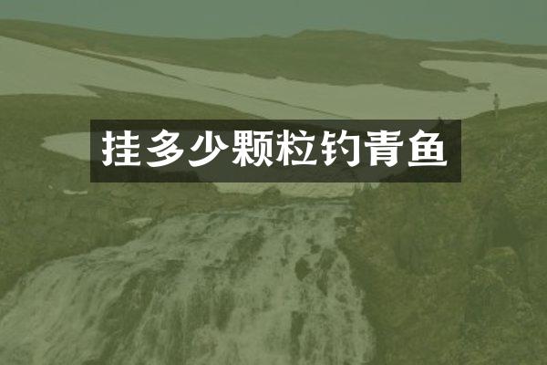挂多少颗粒钓青鱼