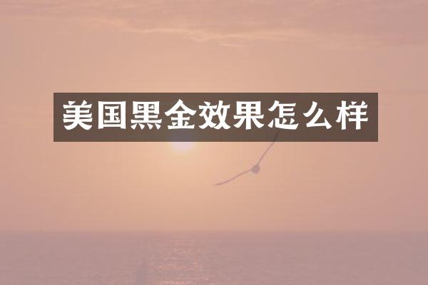 美国黑金效果怎么样
