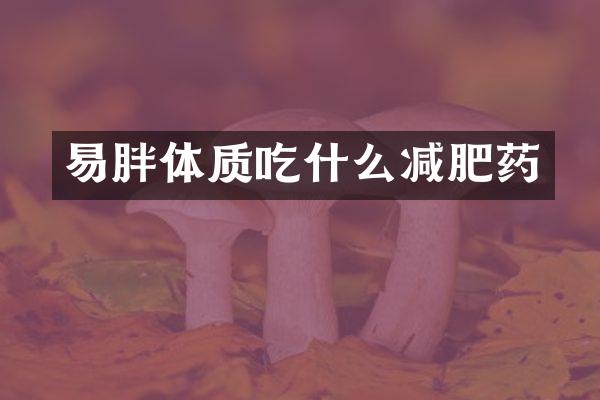 易胖体质吃什么减肥药