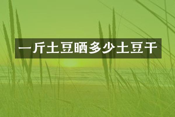 一斤土豆晒多少土豆干