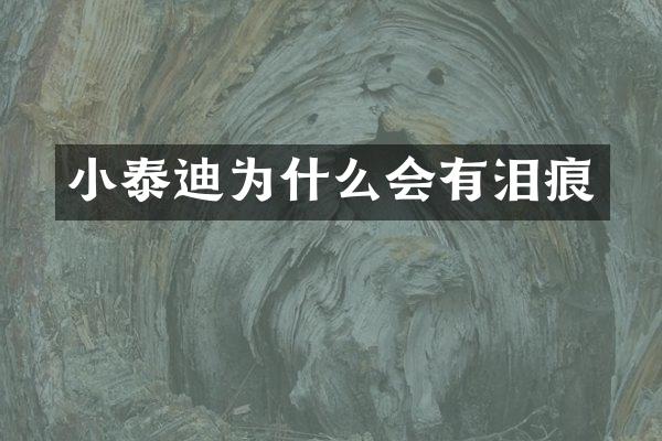 小泰迪为什么会有泪痕