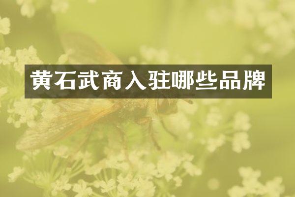 黄石武商入驻哪些品牌
