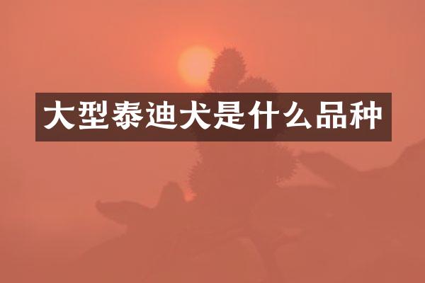 大型泰迪犬是什么品种