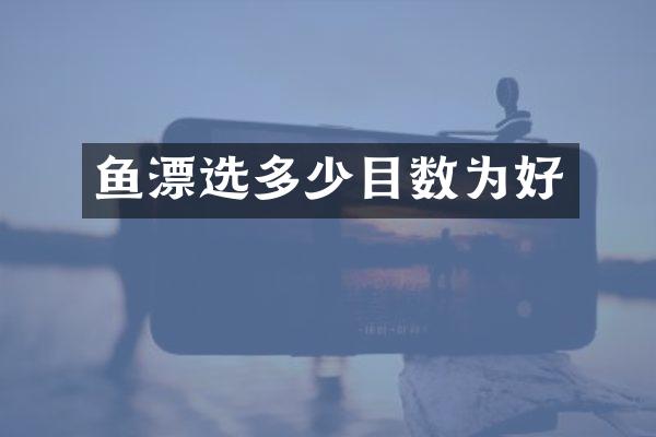 鱼漂选多少目数为好