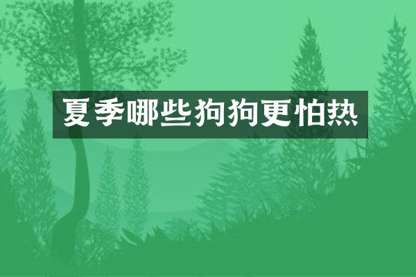 夏季哪些狗狗更怕热