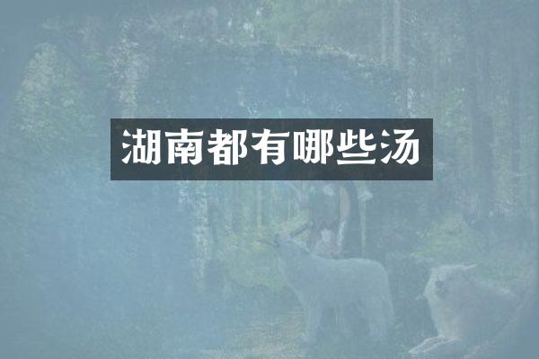 湖南都有哪些汤