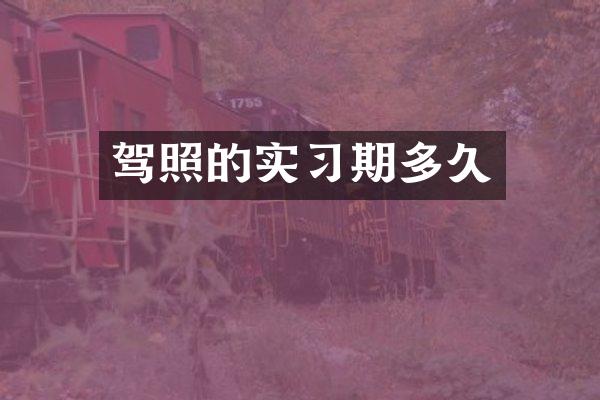 驾照的实习期多久