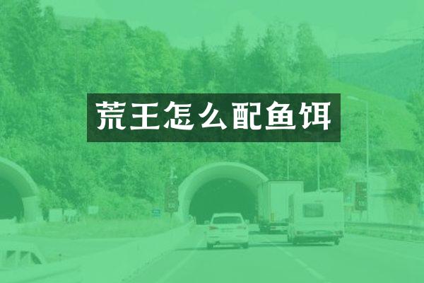荒王怎么配鱼饵