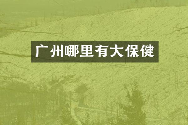 广州哪里有大保健