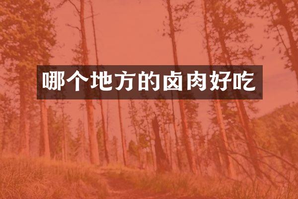 哪个地方的卤肉好吃